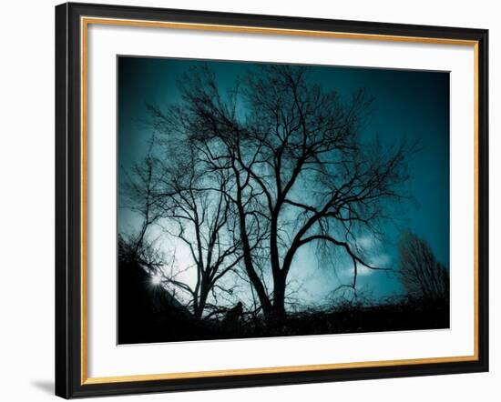 Looking for Utopia-Sharon Wish-Framed Photographic Print