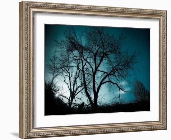 Looking for Utopia-Sharon Wish-Framed Photographic Print