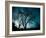 Looking for Utopia-Sharon Wish-Framed Photographic Print