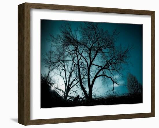 Looking for Utopia-Sharon Wish-Framed Photographic Print