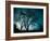 Looking for Utopia-Sharon Wish-Framed Photographic Print