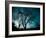 Looking for Utopia-Sharon Wish-Framed Photographic Print