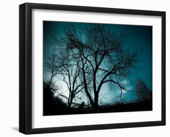 Looking for Utopia-Sharon Wish-Framed Photographic Print