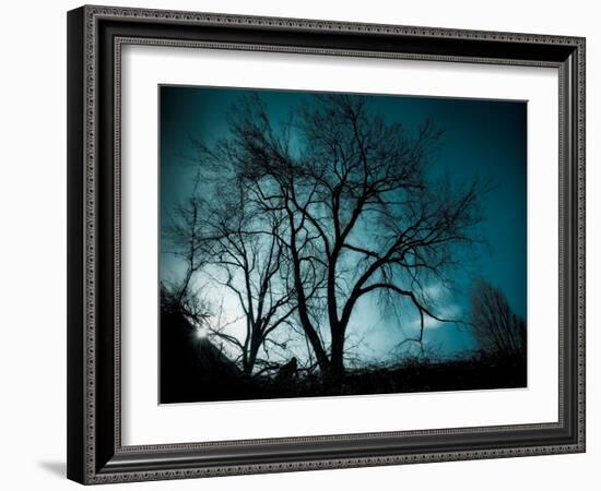 Looking for Utopia-Sharon Wish-Framed Photographic Print