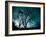 Looking for Utopia-Sharon Wish-Framed Photographic Print