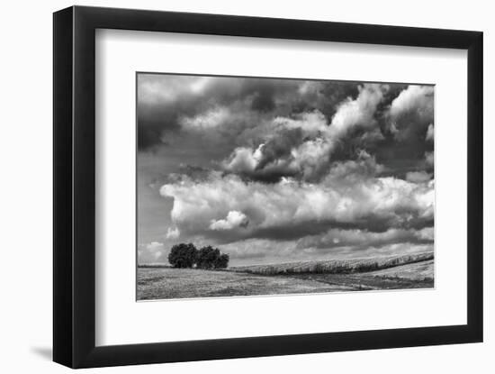 Looking Northwest-Trent Foltz-Framed Art Print