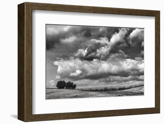 Looking Northwest-Trent Foltz-Framed Art Print