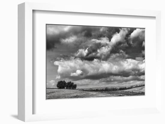 Looking Northwest-Trent Foltz-Framed Art Print