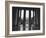 Looking Out into the Courtyard of Havana University-Joe Scherschel-Framed Photographic Print