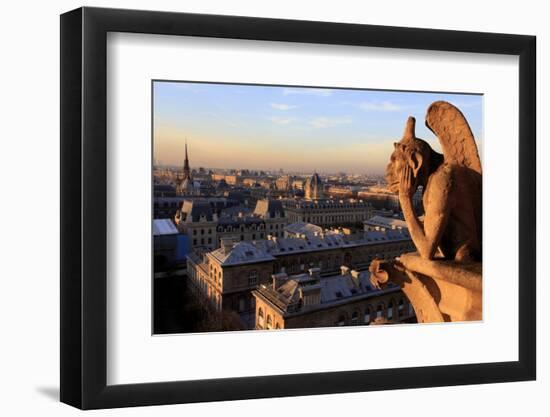 Looking Out over City, Paris, France from Roof, Notre Dame Cathedral with a Gargoyle in Foreground-Paul Dymond-Framed Photographic Print