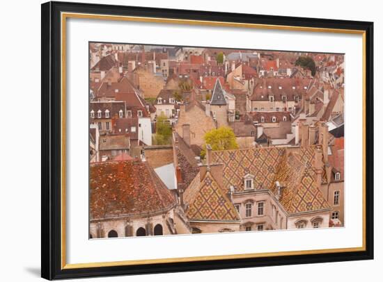 Looking Out over the Rooftops of Dijon, Burgundy, France, Europe-Julian Elliott-Framed Photographic Print