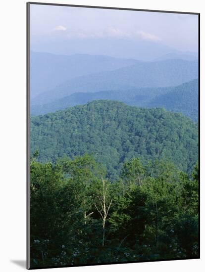 Looking Over the Appalachian Mountains from the Blue Ridge Parkway in Cherokee Indian Reservation-Robert Francis-Mounted Photographic Print