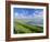 Looking South Along Saunton Sands and Braunton Burrows Near Barnstaple, North Devon, England, UK-Robert Francis-Framed Photographic Print