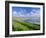 Looking South Along Saunton Sands and Braunton Burrows Near Barnstaple, North Devon, England, UK-Robert Francis-Framed Photographic Print