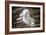 Looking Through A Hole In A Fallen Tree Trunk Out Towards Large Trees In Sequoia NP, CA-Michael Hanson-Framed Photographic Print