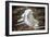 Looking Through A Hole In A Fallen Tree Trunk Out Towards Large Trees In Sequoia NP, CA-Michael Hanson-Framed Photographic Print