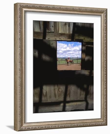 Looking Through Old Barn Window at Cowboy Roping Cattle, Antelope, Oregon, USA-Steve Terrill-Framed Photographic Print