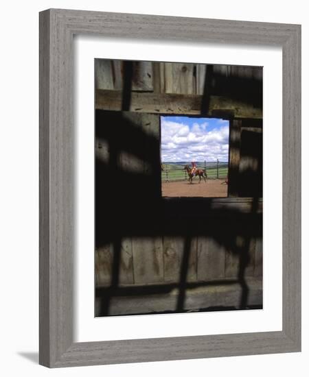 Looking Through Old Barn Window at Cowboy Roping Cattle, Antelope, Oregon, USA-Steve Terrill-Framed Photographic Print