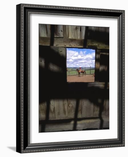 Looking Through Old Barn Window at Cowboy Roping Cattle, Antelope, Oregon, USA-Steve Terrill-Framed Photographic Print