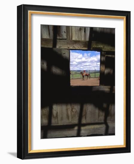 Looking Through Old Barn Window at Cowboy Roping Cattle, Antelope, Oregon, USA-Steve Terrill-Framed Photographic Print