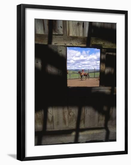 Looking Through Old Barn Window at Cowboy Roping Cattle, Antelope, Oregon, USA-Steve Terrill-Framed Photographic Print