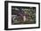 Looking Through the Bushes to Eichstatt-Felix Strohbach-Framed Photographic Print