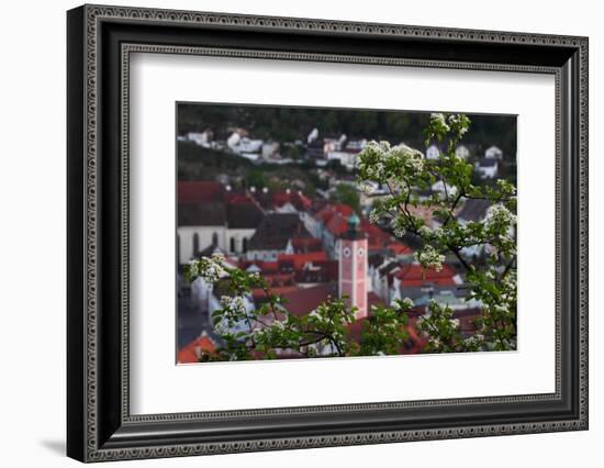 Looking Through the Bushes to Eichstatt-Felix Strohbach-Framed Photographic Print