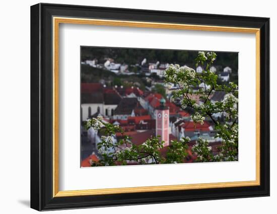 Looking Through the Bushes to Eichstatt-Felix Strohbach-Framed Photographic Print