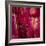 Looking Through The Rubicon-Doug Chinnery-Framed Photographic Print
