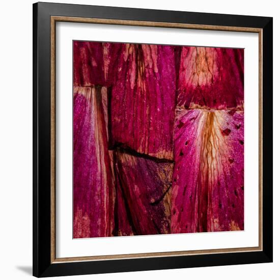 Looking Through The Rubicon-Doug Chinnery-Framed Photographic Print