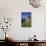 Looking to Sennen Cove from Lands End, Summer Sunshine, Cornwall, England, United Kingdom, Europe-Peter Barritt-Photographic Print displayed on a wall