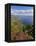 Looking Towards Funchal From Cabo Girao, One of the World's Highest Sea Cliffs, Portugal-Neale Clarke-Framed Premier Image Canvas