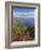 Looking Towards Funchal From Cabo Girao, One of the World's Highest Sea Cliffs, Portugal-Neale Clarke-Framed Photographic Print