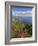 Looking Towards Funchal From Cabo Girao, One of the World's Highest Sea Cliffs, Portugal-Neale Clarke-Framed Photographic Print