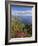 Looking Towards Funchal From Cabo Girao, One of the World's Highest Sea Cliffs, Portugal-Neale Clarke-Framed Photographic Print