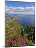 Looking Towards Funchal From Cabo Girao, One of the World's Highest Sea Cliffs, Portugal-Neale Clarke-Mounted Photographic Print