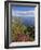 Looking Towards Funchal From Cabo Girao, One of the World's Highest Sea Cliffs, Portugal-Neale Clarke-Framed Photographic Print