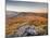 Looking Towards Honeybag Tor in Dartmoor National Park, Devon, England, United Kingdom, Europe-Julian Elliott-Mounted Photographic Print