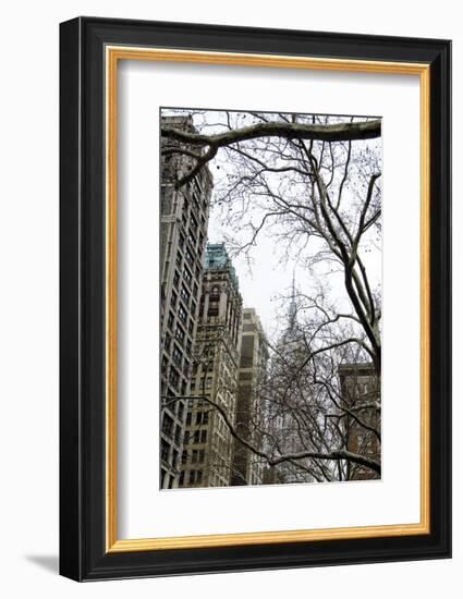 Looking up 5th-Erin Clark-Framed Art Print