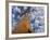 Looking Up at Baobab on Baobabs Avenue, Morondava, West Madagascar-Inaki Relanzon-Framed Photographic Print