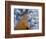 Looking Up at Baobab on Baobabs Avenue, Morondava, West Madagascar-Inaki Relanzon-Framed Photographic Print