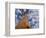 Looking Up at Baobab on Baobabs Avenue, Morondava, West Madagascar-Inaki Relanzon-Framed Photographic Print