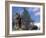 Looking Up at Maine Coon Cat-Adriano Bacchella-Framed Photographic Print