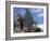 Looking Up at Maine Coon Cat-Adriano Bacchella-Framed Photographic Print