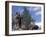 Looking Up at Maine Coon Cat-Adriano Bacchella-Framed Photographic Print