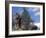 Looking Up at Maine Coon Cat-Adriano Bacchella-Framed Photographic Print