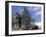 Looking Up at Maine Coon Cat-Adriano Bacchella-Framed Photographic Print