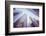 Looking up at Manhattan Skyscrapers at Sunset-Maciej Bledowski-Framed Photographic Print