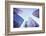 Looking up at New York Skyscrapers-Maciej Bledowski-Framed Photographic Print