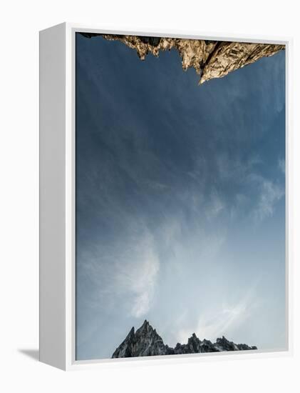 Looking Up at the Sky in the Alpine Lakes Wilderness Area, Washington-Steven Gnam-Framed Premier Image Canvas